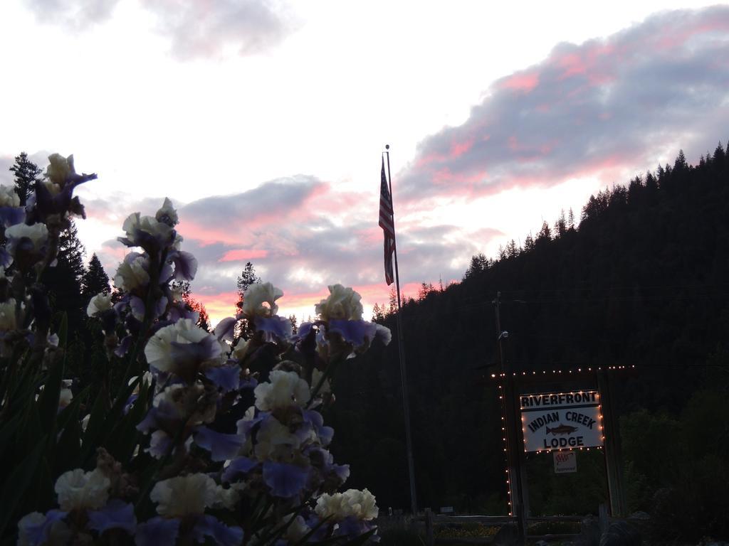 Indian Creek Lodge Douglas City 外观 照片