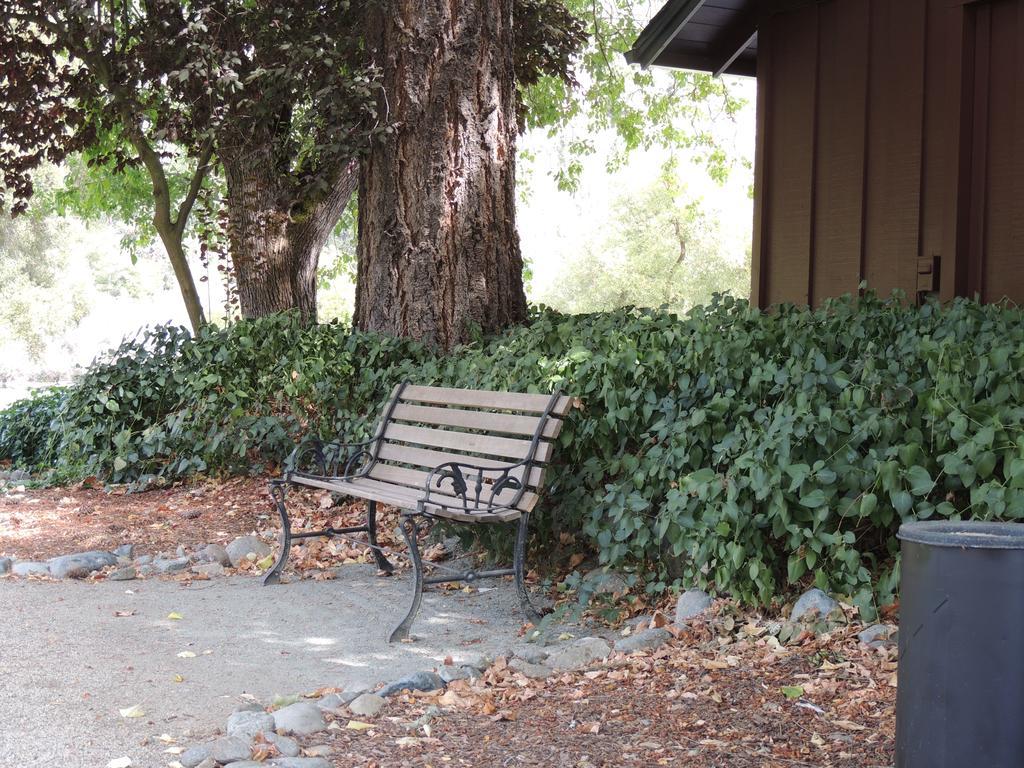 Indian Creek Lodge Douglas City 外观 照片
